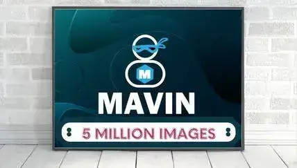 Mavin Feature 1