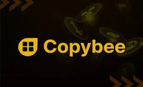 CopyBee Steps